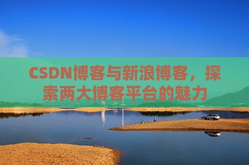 CSDN博客与新浪博客,探索两大博客平台的魅力
